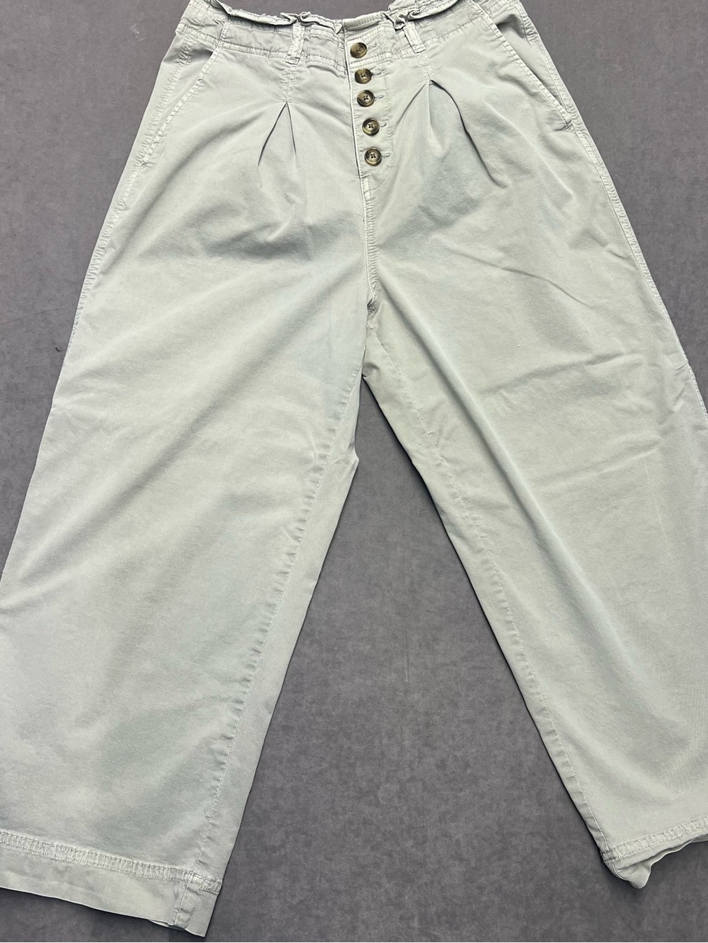 American Eagle Outfitters Men's Sage Green Pleated Button-Fly Chinos